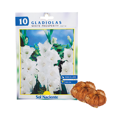 : Bulbo Gladiola 10 Unidades Color Mixto: Jardinería