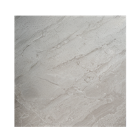 Piso Ceram Appia Gris 55 x 55 cm Caja 1.49 m2
