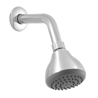 Aspersion Baño Pfister