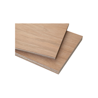 Plywood Okume BB/BB 9 mm 1.22 X 2.44 m