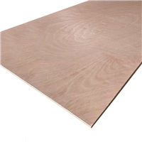 Plywood Okume BB/BB 18 mm 1.22 X 2.44 m