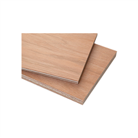 Plywood Okume BB/BB 25 mm 1.22 X 2.44 m