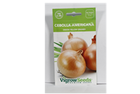 Semilla Cebolla Americana