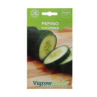 Semilla Pepino