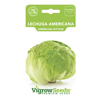 Semilla Lechuga Americana