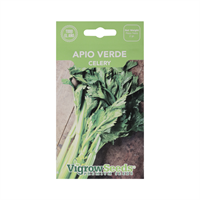 Semilla Apio Verde