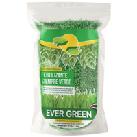 Fertilizante 46 0 0 Estimulante Follal 750 g Evergreen