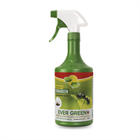 Insecticida Hormigas/Insectos Hormigreen 1 L Evergreen
