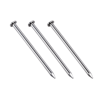 Clavo Galvanizado Con Cabeza 4" 100 mm 1 Kg