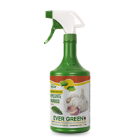 Insecticida Repelente Organico Base Ajo 1 L Evergreen