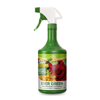 Fertilizante Rosas Y Arbustos 1 L Evergreen
