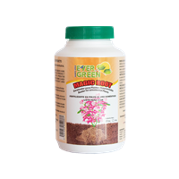 Fertilizante Enraizador Planta Ornamental Magic Root 120 g