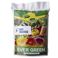 Sustrato Baby Orquidea 5 L / 2 Kg Evergreen