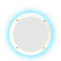 Plafon Doble Luz Color Azul