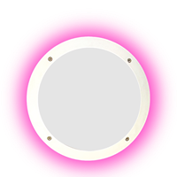 Plafon Doble Luz Color Rosado