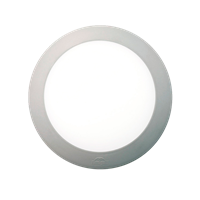 Plafon Berta Gris 4000K E27