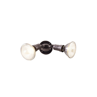Reflector Doble 150W Max