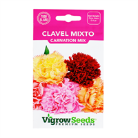 Semilla Clavel Mixto