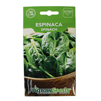 Semilla Espinaca
