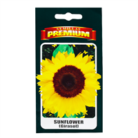 Semilla Girasol