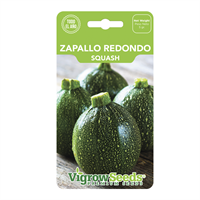Semilla Zapallo Redondo