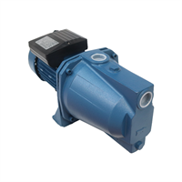 Bomba Agua 1Hp 110V Sin Accesorio Foras