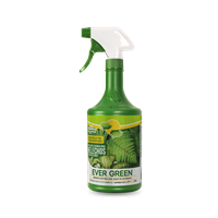Fertilizante Estimulante Crecimiento Helechos 1 L Evergreen