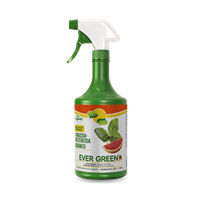 Fungicida Bactericida Organico 1 L Evergreen