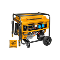 Generador Gasolina 6500W Ingco