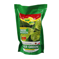 Fungicida Multiefecto Accion Inmediata 750 ml Evergreen