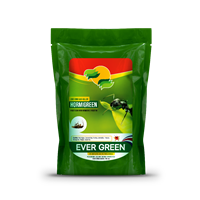 Insecticida Hormiga/Insecto Hormigreen 750 ml Evergreen