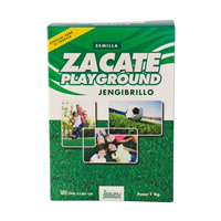 Semilla Zacate Play gound Jengibrillo 1 Kg