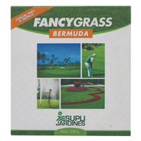 Semilla Zacate Fancy gass Bermuda 500 gs