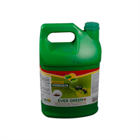 Insecticida Hormigas/Insectos Hormigreen 1 Galon Evergreen