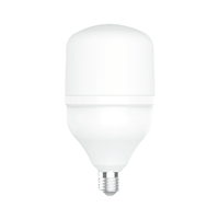 Bombillo Led Luz Dia 30W 100-240V