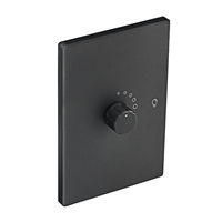 Dimmer 300 W Altiva Gris Eagle