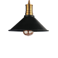 Lampara Techo 1836 Negra E27 Ul