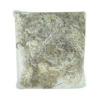 Musgo Decorativo Reindermoss Natural