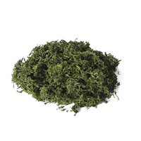 Musgo Decorativo Verde Reindermoss Green