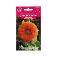 Semilla Girasol Mini Teddy Bear Sobre 1 g
