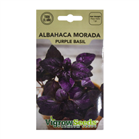 Semilla Albahaca Morada