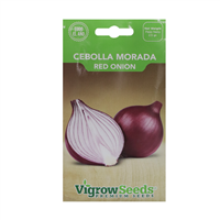 Semilla Cebolla Morada