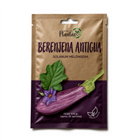 Semilla Berenjena Antigua