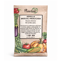 Semilla Brocoli Piricicaba