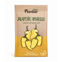 Semilla Chile Jalapeño Amarillo