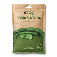 Semilla Pepino Suyo Long
