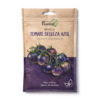 Semilla Tomate Belleza Azul