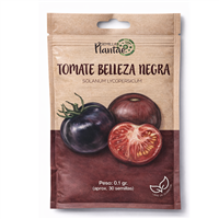 Semilla Tomate Belleza Negra
