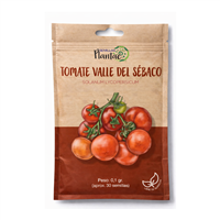 Semilla Tomate Valle del Sebaco