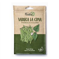 Semilla Vainica La Cima